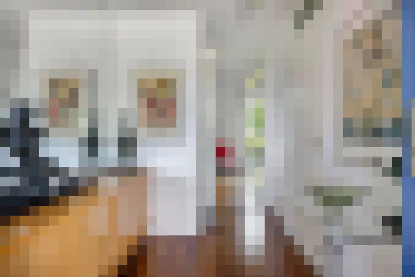 Bloemersmaborg 21 Groningen thumbnail 9