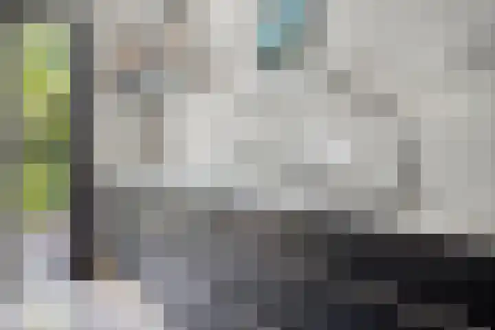 Bloemersmaborg 23 Groningen thumbnail 13
