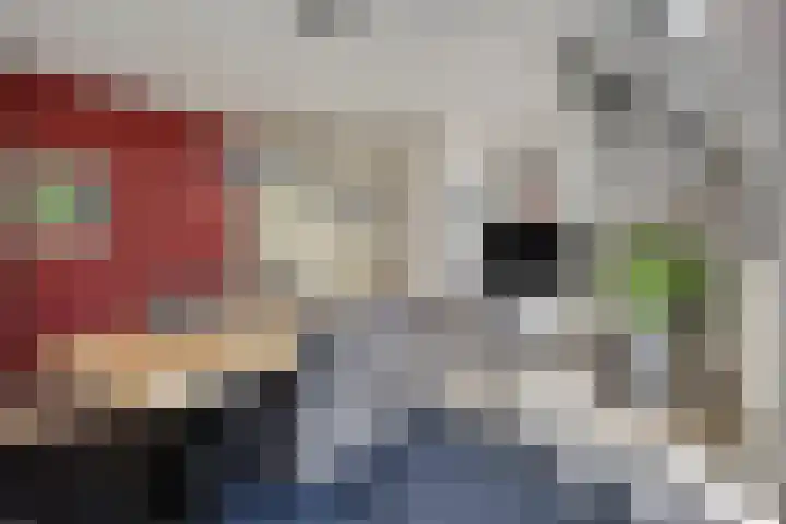 Bloemersmaborg 23 Groningen thumbnail 14