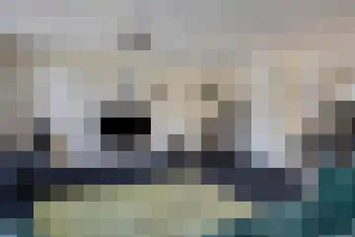Bloemersmaborg 23 Groningen thumbnail 18