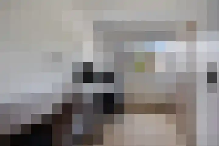 Bloemersmaborg 23 Groningen thumbnail 28
