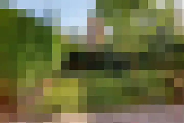 Bloemersmaborg 23 Groningen thumbnail 33