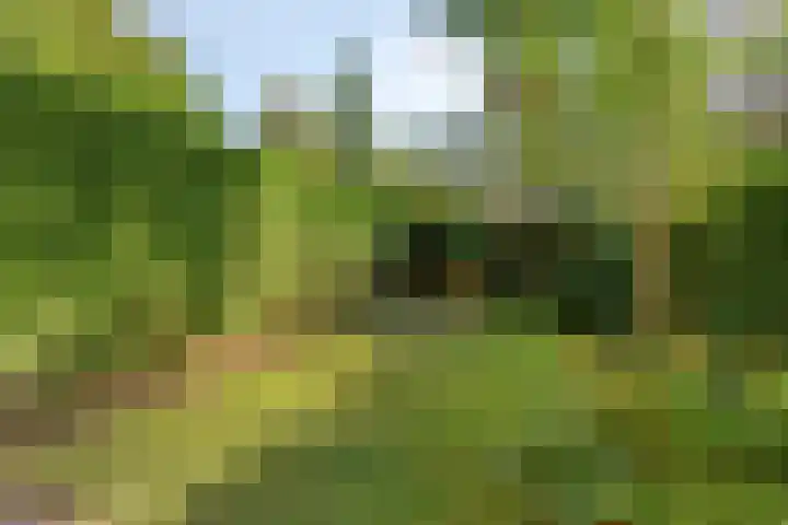 Bloemersmaborg 23 Groningen thumbnail 34