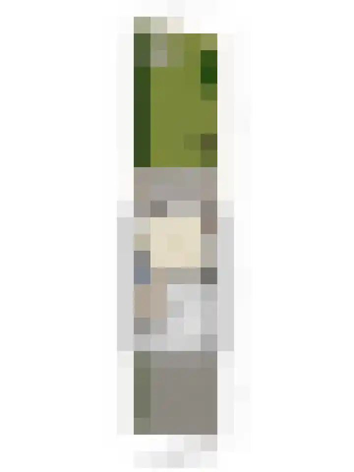 Bloemersmaborg 23 Groningen thumbnail 37