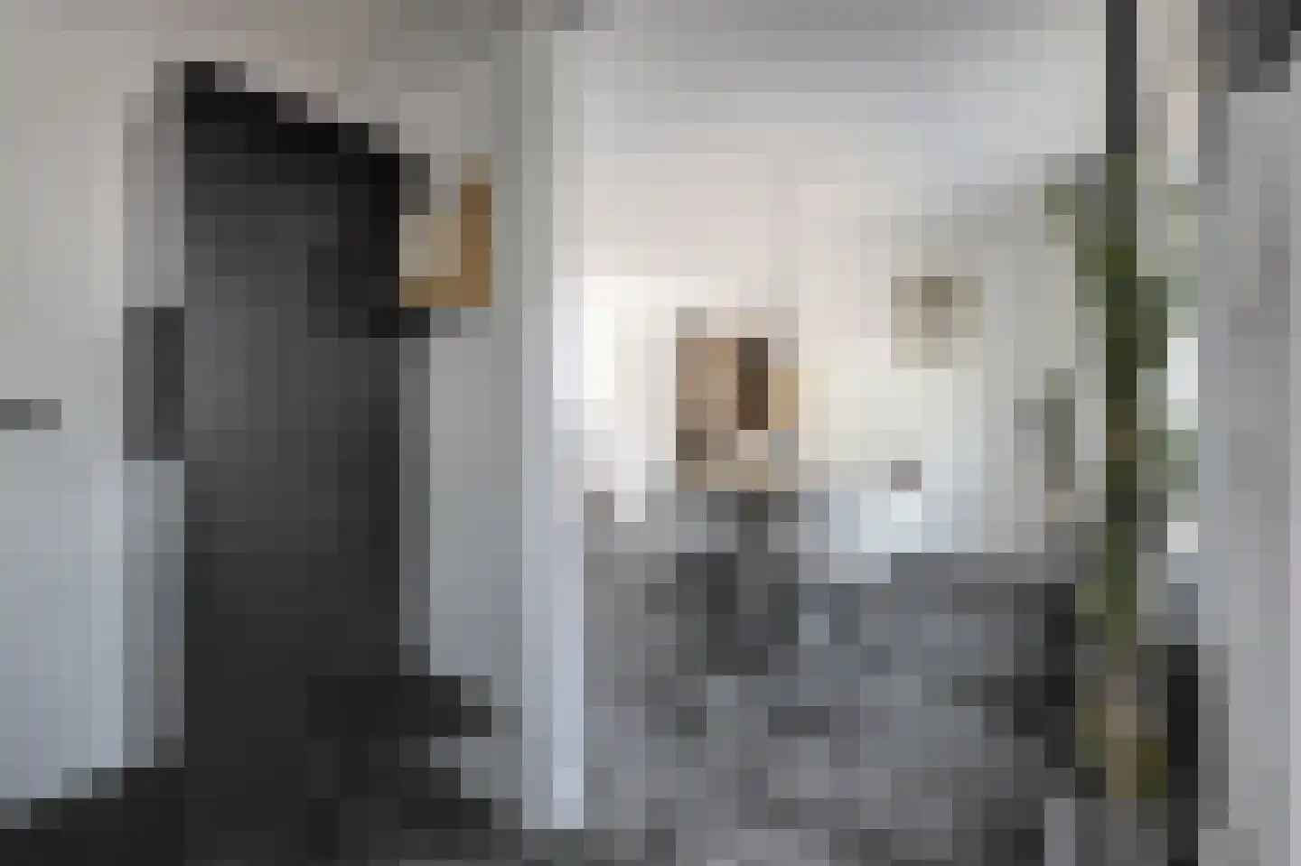 Bloemersstraat 5 Doetinchem thumbnail 15