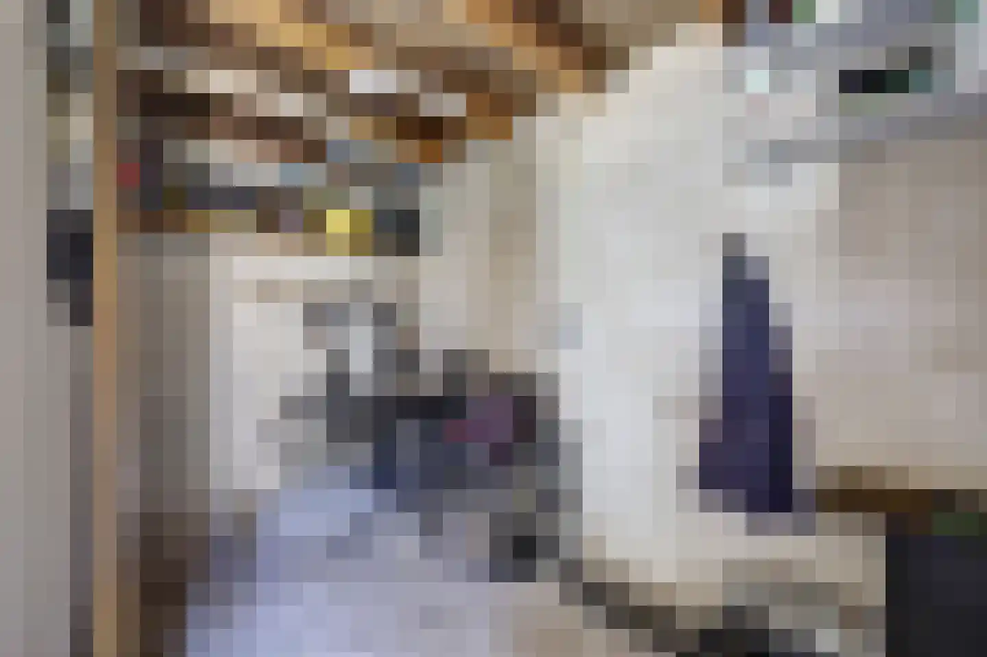 Bloemersstraat 5 Doetinchem thumbnail 41