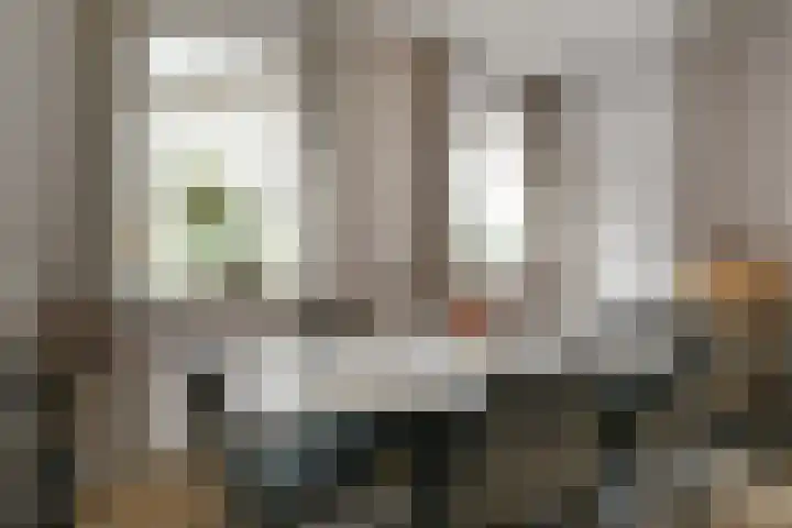 Bloemerstraat 10 Nederweert thumbnail 12