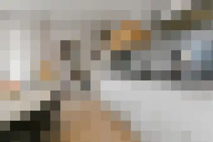 Bloemerstraat 10 Nederweert thumbnail 13