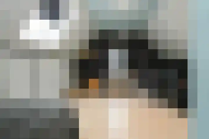 Bloemerstraat 10 Nederweert thumbnail 21