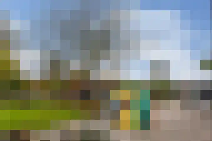 Bloemerstraat 10 Nederweert thumbnail 26