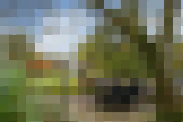 Bloemerstraat 10 Nederweert thumbnail 30
