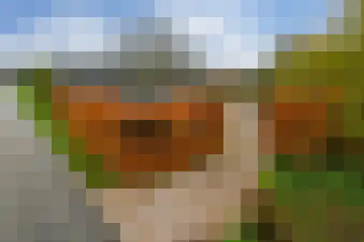 Bloemerstraat 10 Nederweert thumbnail 4