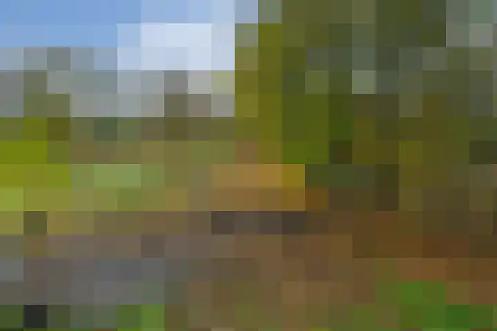 Bloemerstraat 10 Nederweert thumbnail 43
