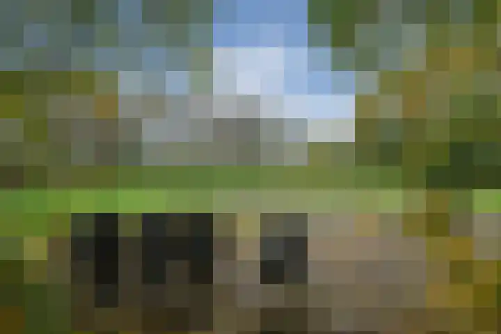 Bloemerstraat 10 Nederweert thumbnail 46