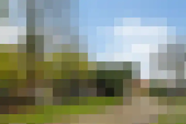 Bloemerstraat 10 Nederweert thumbnail 47