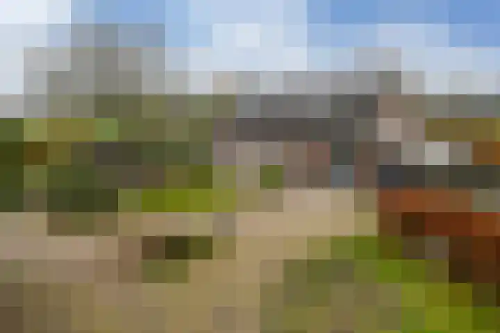 Bloemerstraat 10 Nederweert thumbnail 48