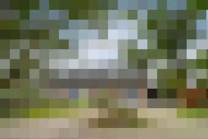 Bloemerstraat 10 Nederweert thumbnail 6