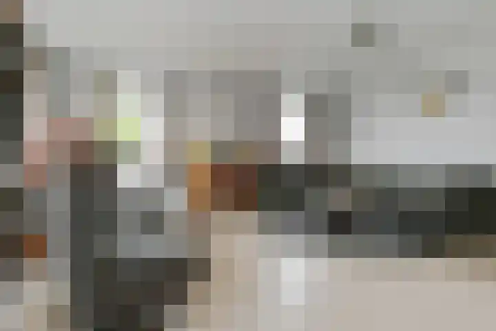 Bloemerstraat 10 Nederweert thumbnail 8