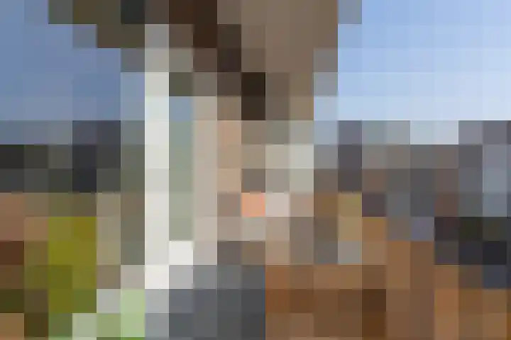 Bloemerstraat 85 Nijmegen thumbnail 9