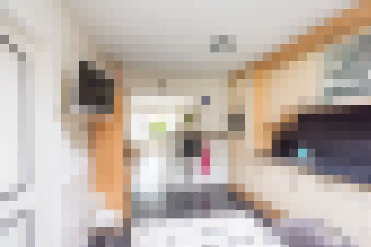 Bloemersweide 2 Gendringen thumbnail 17