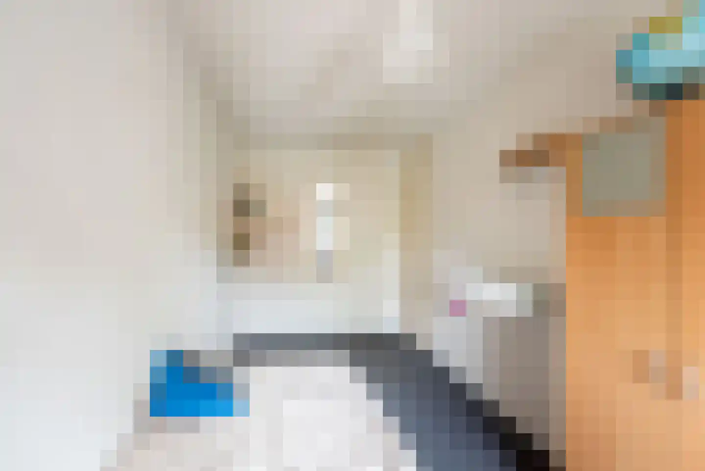 Bloemersweide 2 Gendringen thumbnail 31