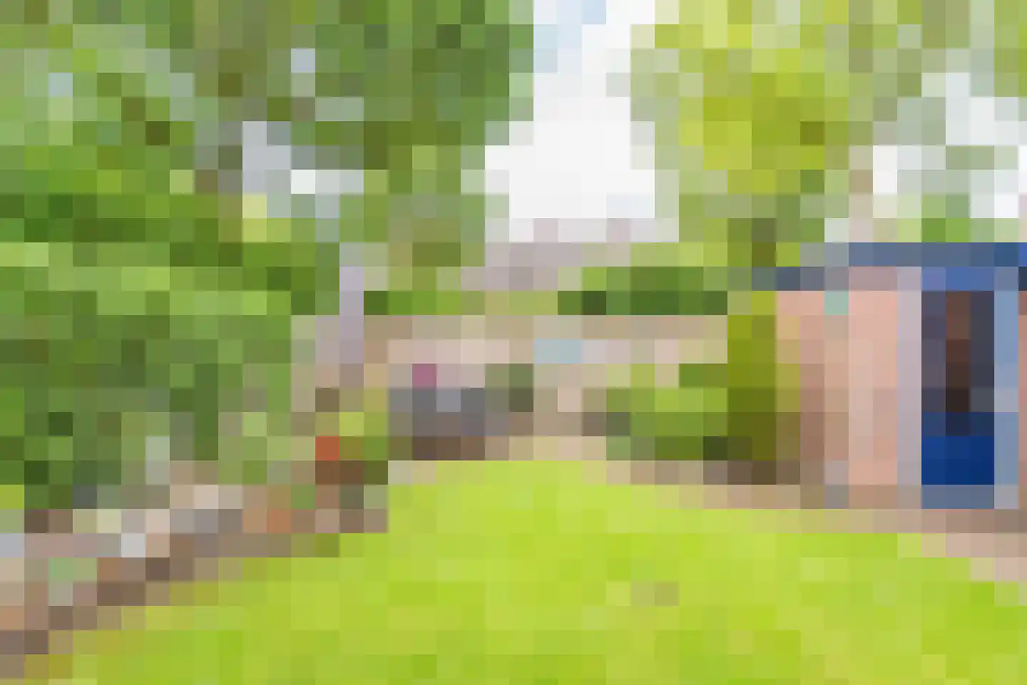 Bloemersweide 2 Gendringen thumbnail 40