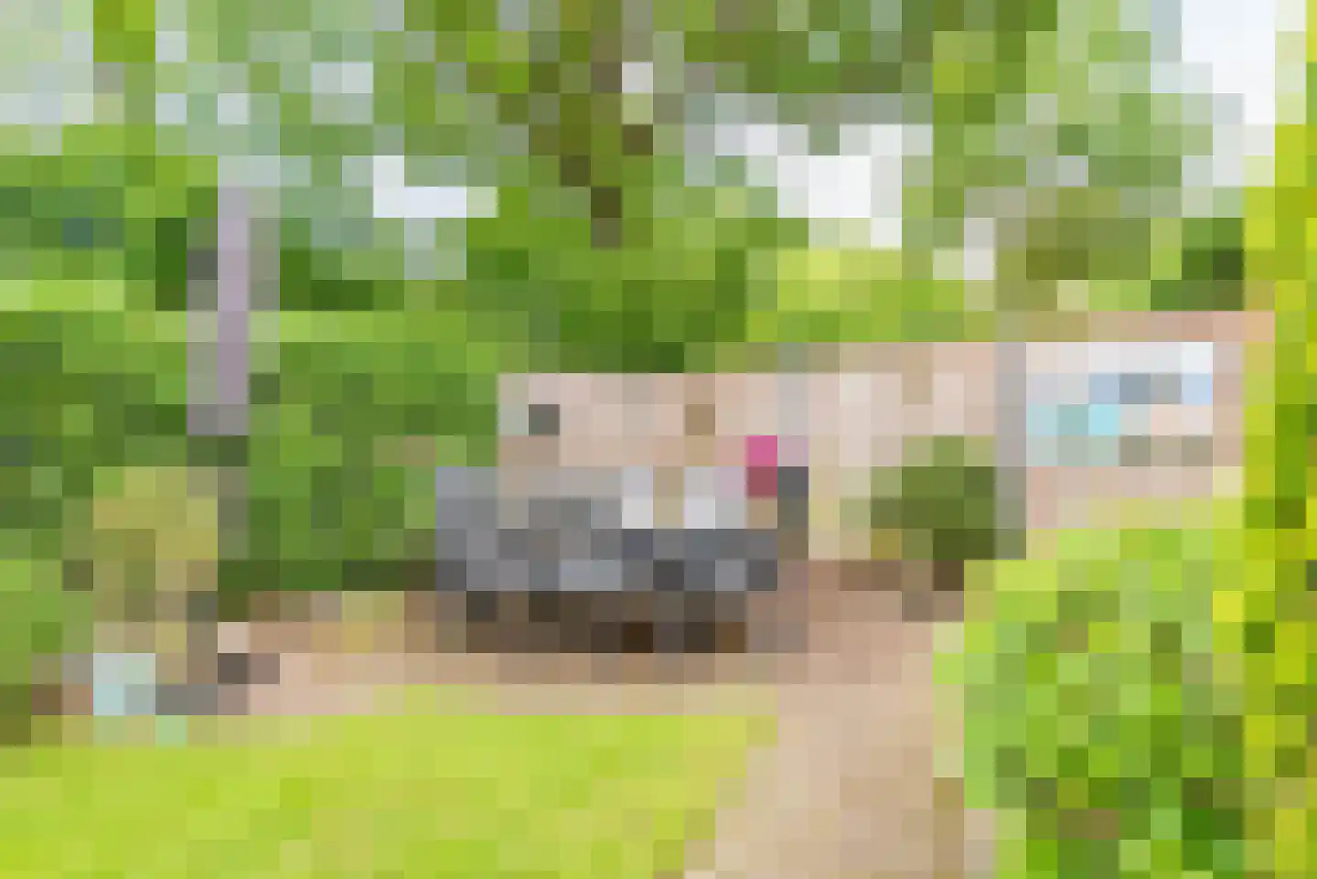 Bloemersweide 2 Gendringen thumbnail 41