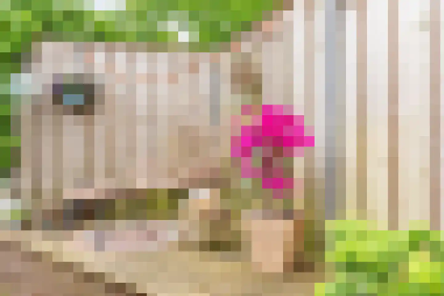 Bloemersweide 2 Gendringen thumbnail 42