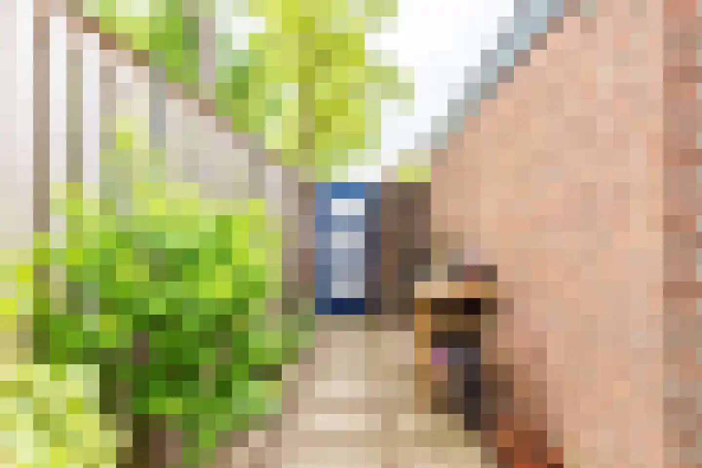Bloemersweide 2 Gendringen thumbnail 44