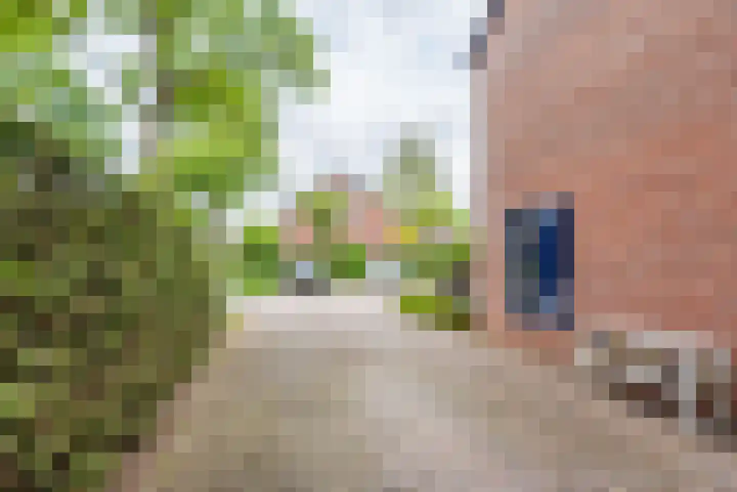 Bloemersweide 2 Gendringen thumbnail 45