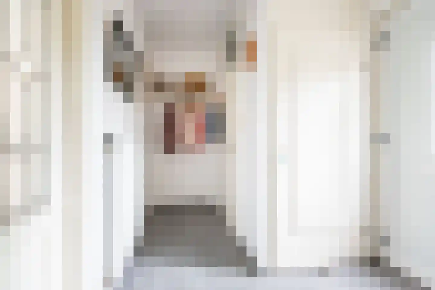 Bloemersweide 2 Gendringen thumbnail 7