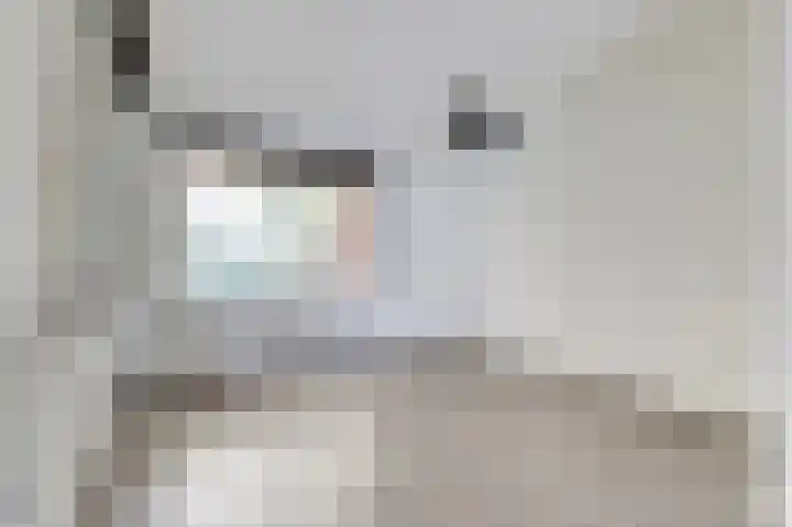 Bloemersweide 57 Gendringen thumbnail 14