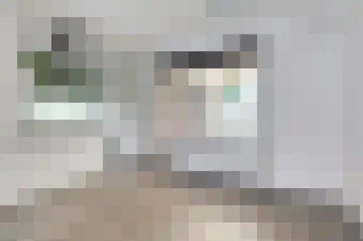 Bloemersweide 57 Gendringen thumbnail 15