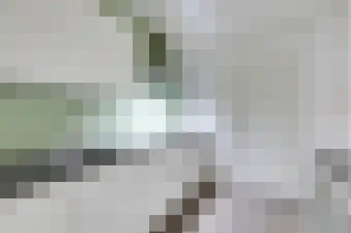 Bloemersweide 57 Gendringen thumbnail 19