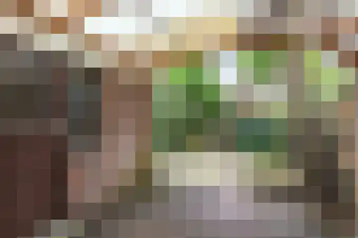 Bloemersweide 57 Gendringen thumbnail 22