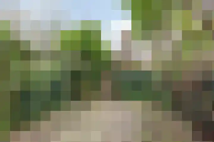 Bloemersweide 57 Gendringen thumbnail 23