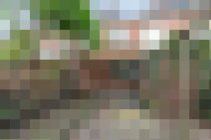 Bloemersweide 57 Gendringen thumbnail 24