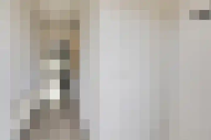 Bloemersweide 57 Gendringen thumbnail 28