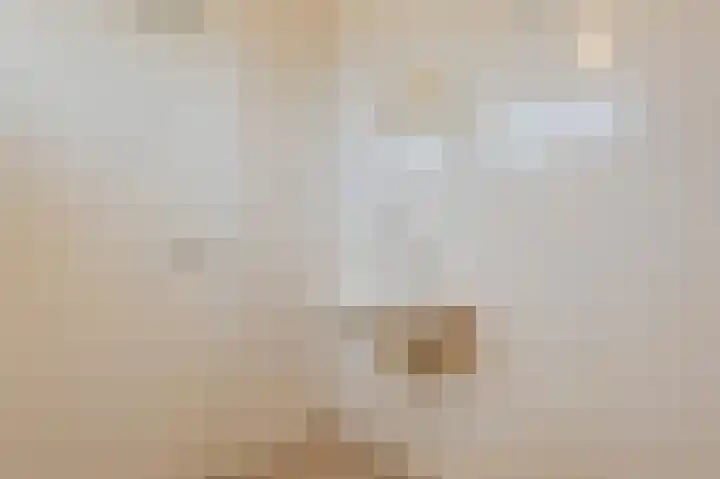 Bloemersweide 57 Gendringen thumbnail 39