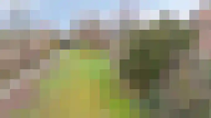 Bloemersweide 57 Gendringen thumbnail 52