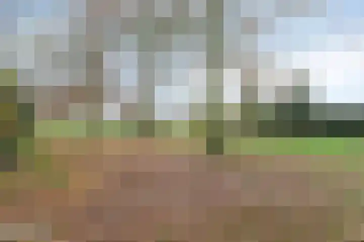 Bloemersweide 57 Gendringen thumbnail 53