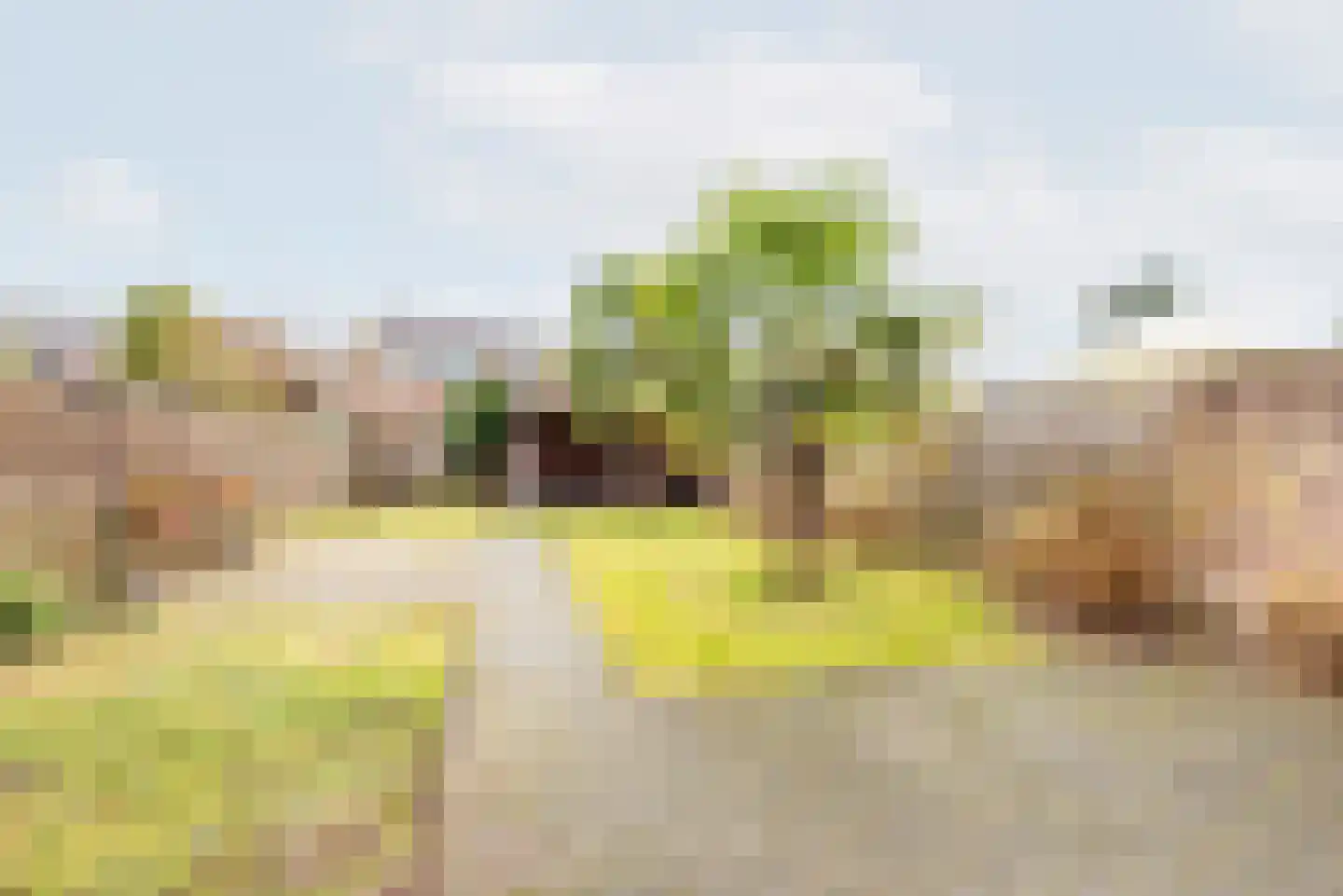 Bloemersweide 75 Gendringen thumbnail 31