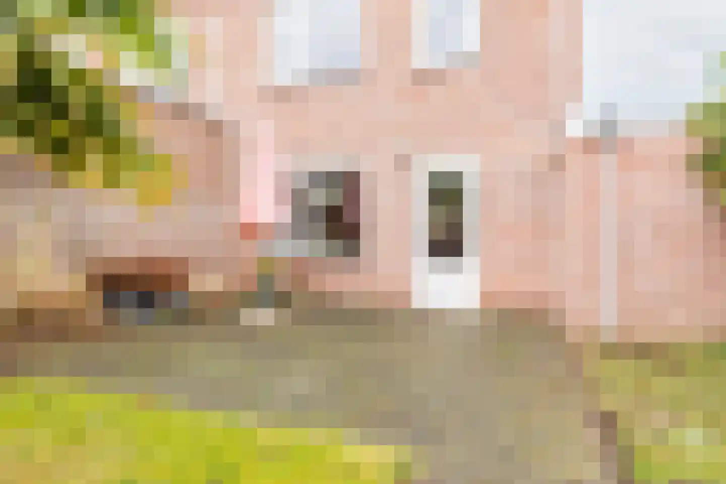 Bloemersweide 75 Gendringen thumbnail 32