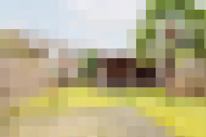 Bloemersweide 75 Gendringen thumbnail 34