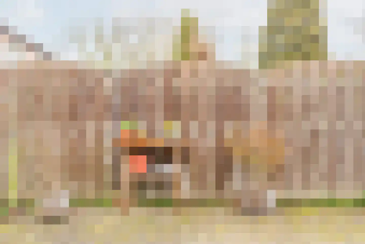 Bloemersweide 75 Gendringen thumbnail 38