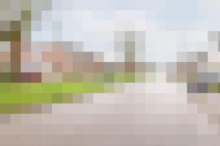 Bloemersweide 75 Gendringen thumbnail 39