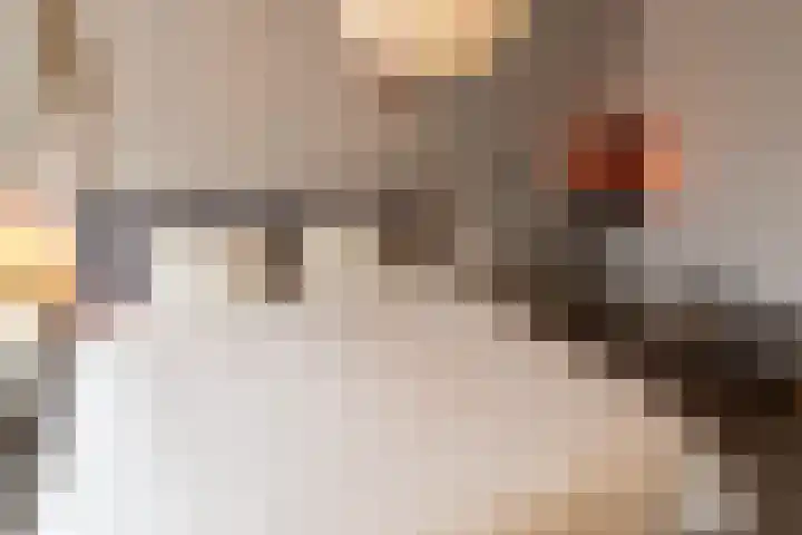Bloemersweide 79 Gendringen thumbnail 20