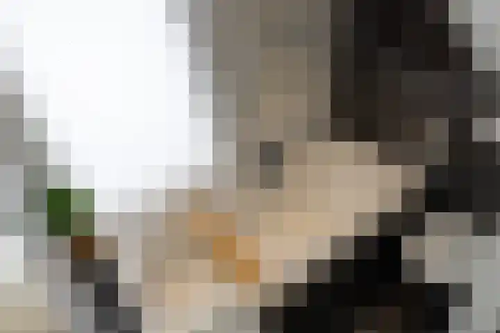Bloemersweide 79 Gendringen thumbnail 27