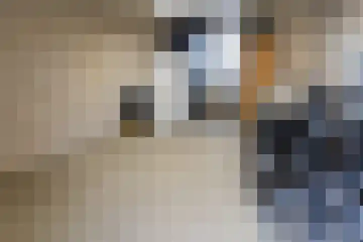 Bloemersweide 79 Gendringen thumbnail 33