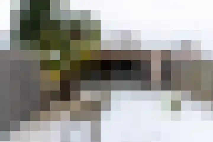 Bloemersweide 79 Gendringen thumbnail 35